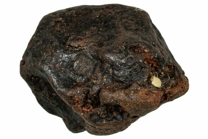 Canyon Diablo Iron Meteorite ( g) - Arizona #303546